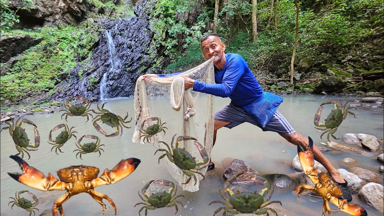 Atrapando muchos cangrejos en pequeña posa 