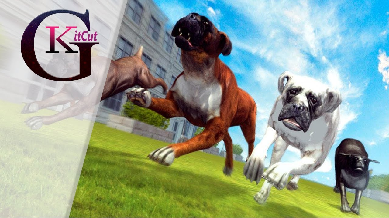 Boxer City Dog Simulator 3d Gameplay Android Hd Virtual Animals World City Dog Animals Dogs