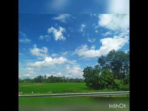 甘心情愿 gan xin qing yuan . Lagu Mandarin  Populer . 流行歌