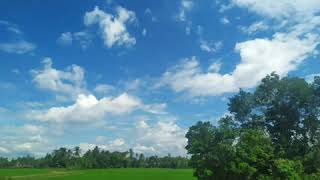 甘心情愿 gan xin qing yuan . Lagu Mandarin  Populer . 流行歌