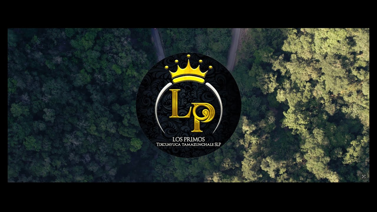 Huapango Carnavalero - Banda Los Primos de Tixcuayuca