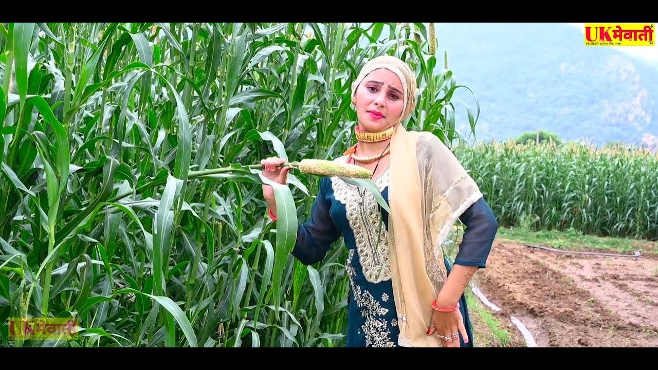 जैसे चढ़े बाजरा पे बूर Official Video Razi Bolza Mewati Apsana Sahin Muskan Mewati Hd Video