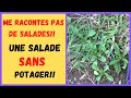 La doucette une salade pour lautonomie alimentaire  la mache sauvage 