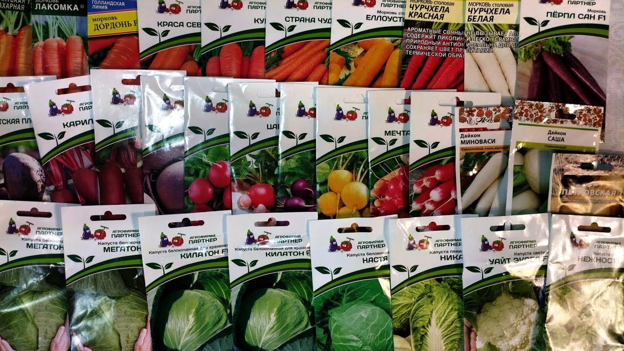 Обзор семян капусты, моркови, свеклы, редиса, репы и дайкона. Хрум ...