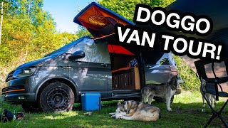 VW Camper Dog Van Tour + UK Wild Camp Setup