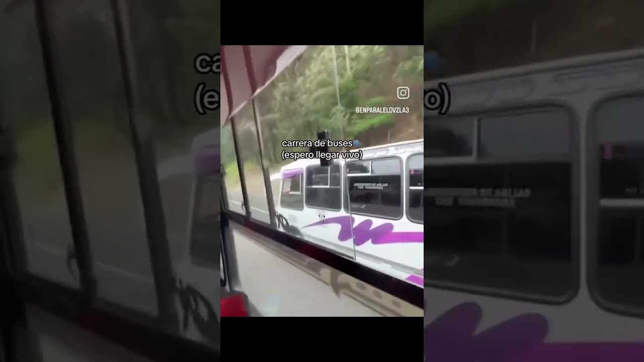 Carrera de buses carrera de buses 