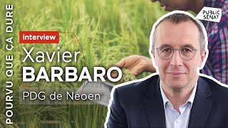 Néoen, La Pépite Française De Lénergie Éolienne. Entretien Avec Xavier Barbaro, Son Pdg