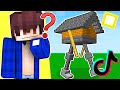 I TOK TOK PIU' STRANI DI MINECRAFT!?