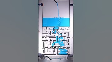 Als water een doolhof oplost! | Kan water een doolhof te slim af zijn? | #shorts #doolhof #experi...