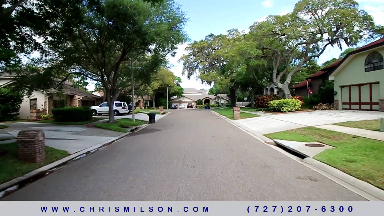 Chelsea Woods Neighborhood in Clearwater YouTube