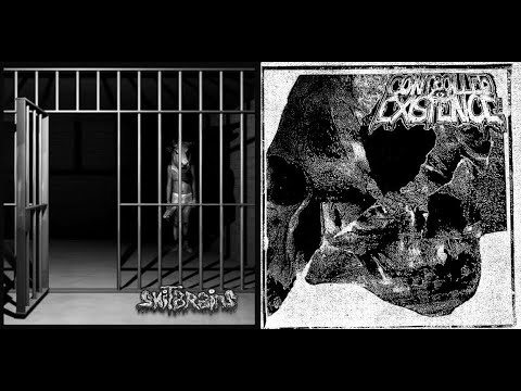 Controlled Existence — Shitbrains // Controlled Existence - Split (2022)