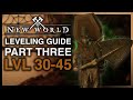 New World Leveling Series! Part 3 Late Game Level 30-45