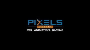 PIXELS Academy - Hollywood Professionals interaction  - VFX | ANIMATION | GAMING Training