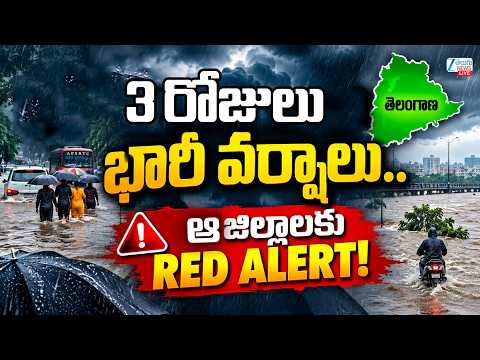 LIVE: Heavy Rain Alert in Telangana | Telangana Weather Update | ఆ జిల్లాలకు రెడ్‌ అలర్ట్‌ !  | ZEE - ZEE24TELUGUNEWS