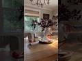 Welcome Lavender Brook Farm Fall 2023 #homeimprovement #homedecor #diy