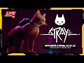 ИГРОВОЙ СТРИМ - STRAY (ЧАСТЬ #1)