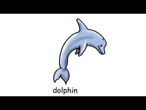 Video: How To Say Dolphin In English