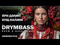 При долині кущ калини By The Valley A Viburnum Bush Ukrainian Folk Drum Bass Remix DrymBass