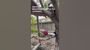 Rc crawler course. #rc #rccar #trx4m #crawling