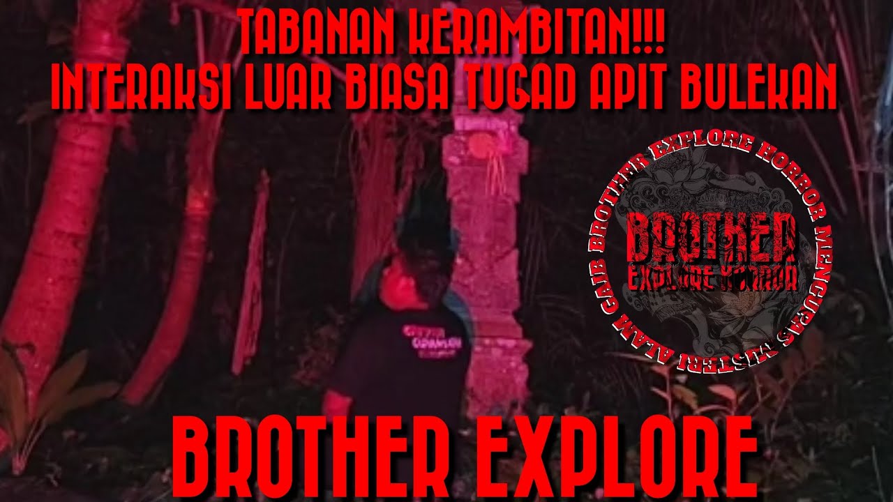 KERAMBITAN TABANAN!!! INTERAKSI LUAR BIASA TUGAD APIT BULEKAN