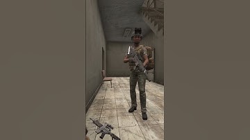 Is This The Rarest Way To Die in DayZ?