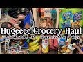 Monthly Grocery Haul| Walmart & Winn Dixie Haul| Cook with Me| Get it All Done| Wife & Mom of 4