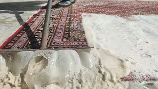 Washing the carpet .Asmr