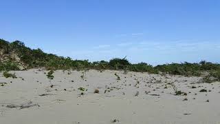 moebase village, pebane district, zambeze province, Mozambique🇲🇿