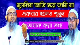 মুসলিম জাতি যেই ভুল গুলো করি মসজিদে গিয়ে অবাক করা তথ্য মুফতী মানসুর আল মোকাদ্দাস পীর সাহেব ভোলাকোট