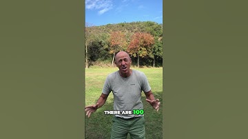 AI Tools  Boost Productivity & Reclaim Your Time!