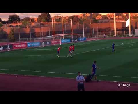 ესპანეთის ნაკრების ფანები პიკეს - „წადი!“