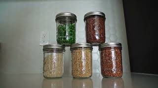 Tips And Tricks For Troubleshooting Common Problems When Growing Microgreens