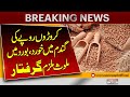 Wheat Fraud Exposed ! Croron Rupee Ki Gandum Ka Fraud | Breaking News
