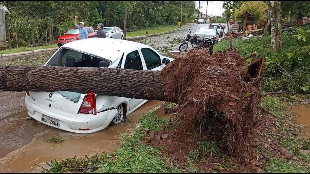 INFORME TERÊ FM - 30/01/26