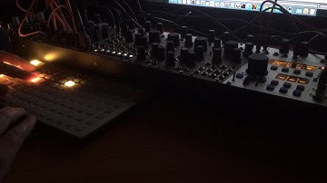 Metabolic by mudlogger (er301, eurorack, monome)