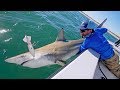 Best Topwater Shark Fishing Ever!!