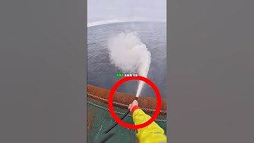 Cách những người thuỷ thủ đối phó với cướp biển 🏴‍☠️😲