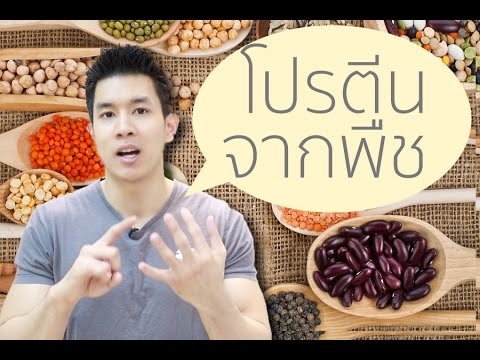 โปรตีนจากพืช กินอะไรดี และเจ กับ Vegan ต่างกันไหม