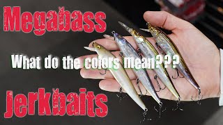 Breaking Down Megabass Jerkbait Color Codes! What Do They Mean?!