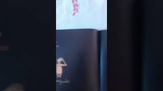 Abc Doido De Angela-Lago Letra B