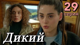 Дикий 29 Серия На Русском Языке. Новый Турецкий Сериал | Анонс