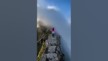 Solitude Is the Norm: Embrace the Beauty of Being Alone 🌿✨ | Life in a Blink #healingmusic