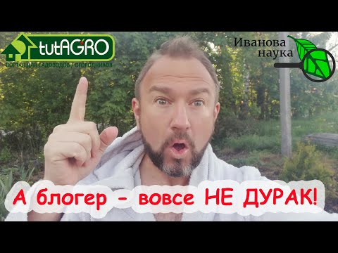 Видео: Можно ли добавить дрожжей?