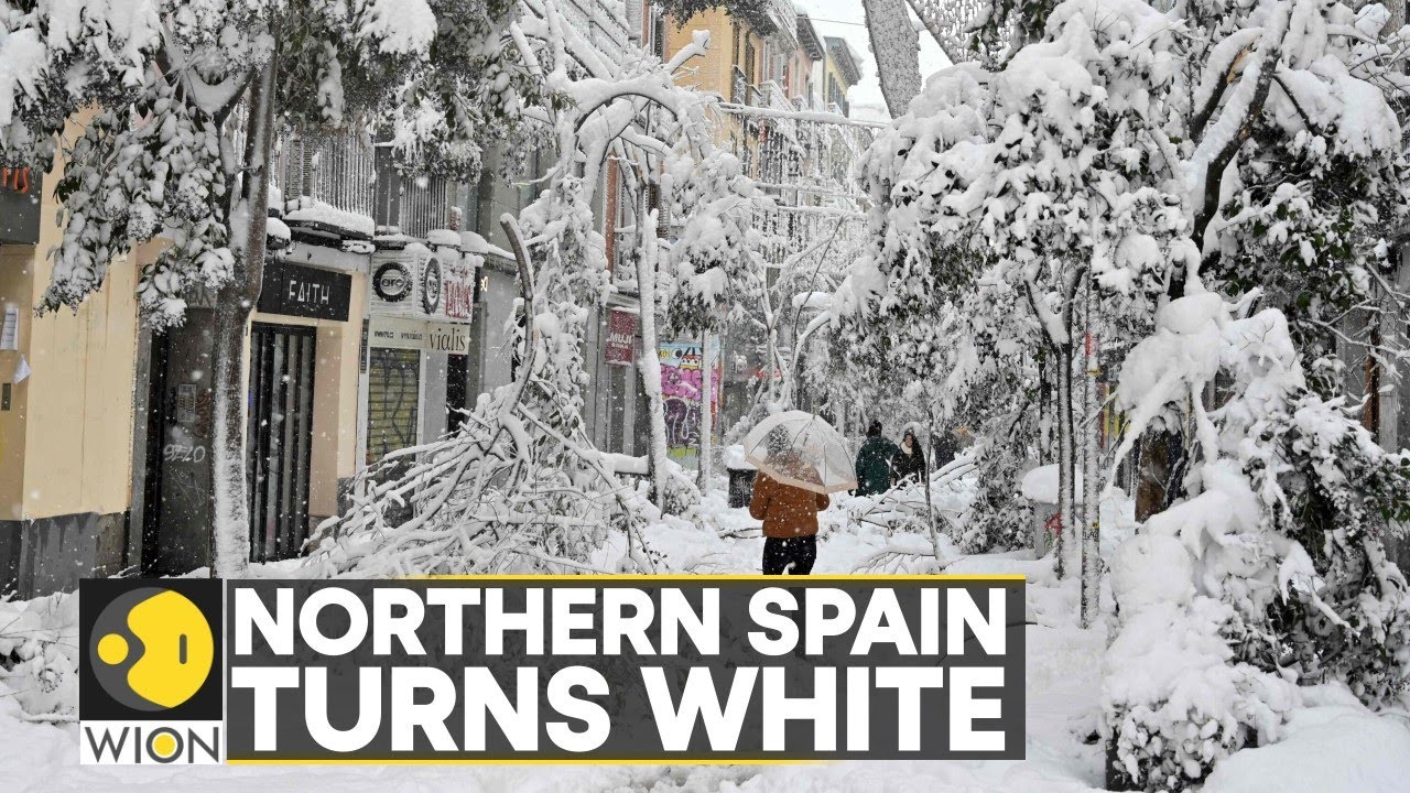 WION Climate Tracker: Heavy snow causes traffic disruptions in Spain | World English News | WION