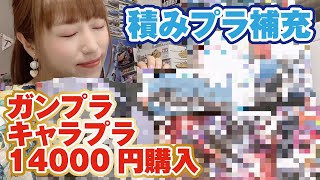 定期積みプラ補充！ガンプラ＆キャラプラ14000円分お買い物してしまった