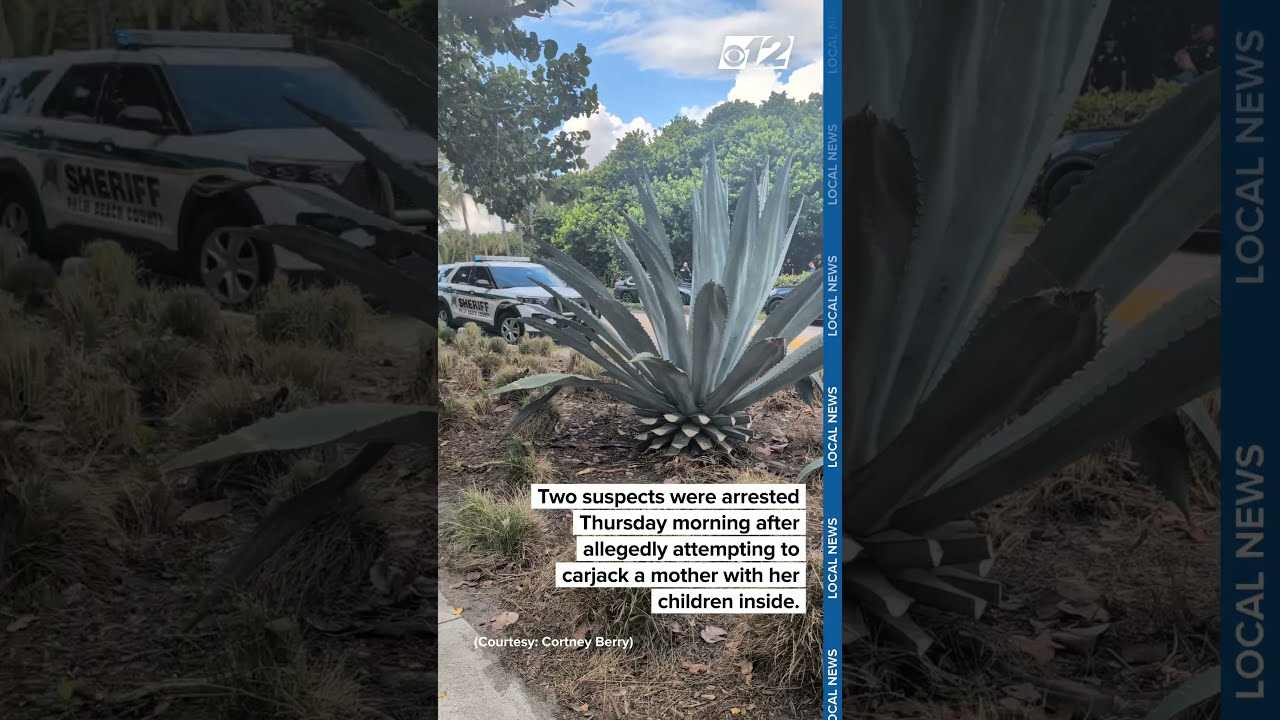 Florida Mother And Kids Escape Unharmed As Police Nab Suspects After Carjacking Attempt