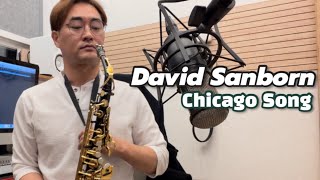 David Sanborn - Chicago Song -