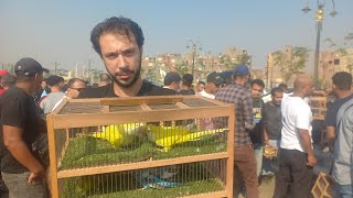 Bird prices at the Friday market today with owners' contact numbers💯and what birds people bought ...
