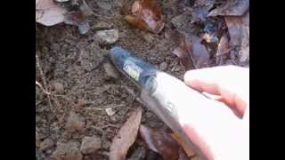 A Day With American Digger