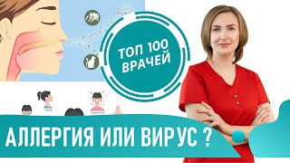 Вирус или Аллергия? Как отличить аллергический и вирусный ринит по симптомам